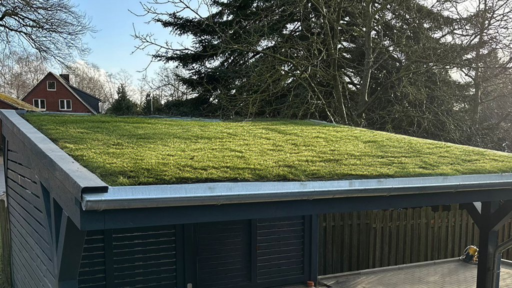 Carport Gründach Banner