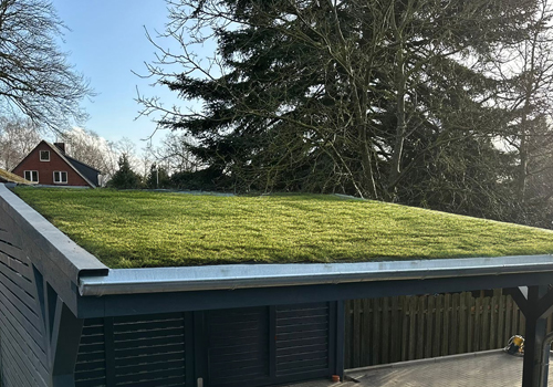 Carport Gründach